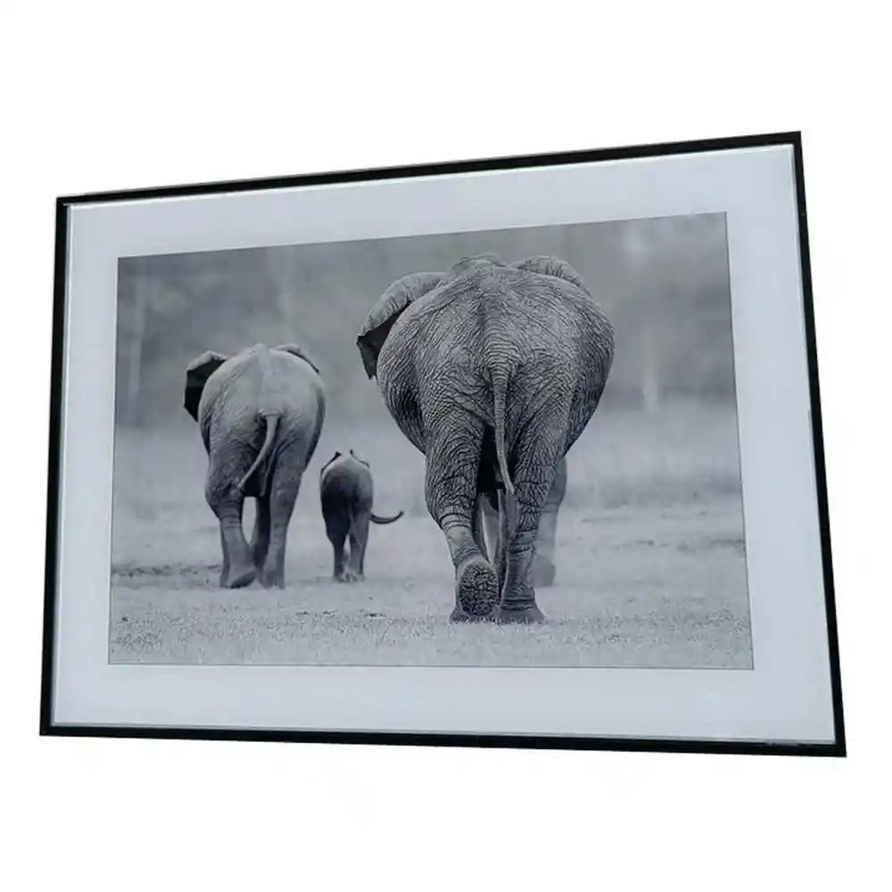 Cuadro 3 Elefantes Concepts 449276783