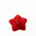 Tazón Mediano Estrella Rojo Ambiente Gourmet