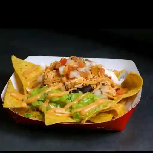 Nachos medianos birria de res