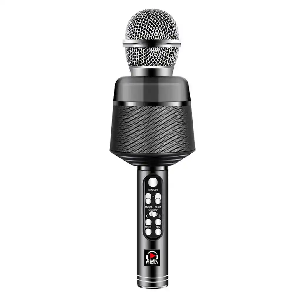 Microfono Inhalambrico Reig Musical