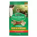Comida para perro Dog Chow Adulto minis y pequeños x 17 kg