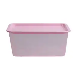 Caja Plástica Promocional Palo Rosa
