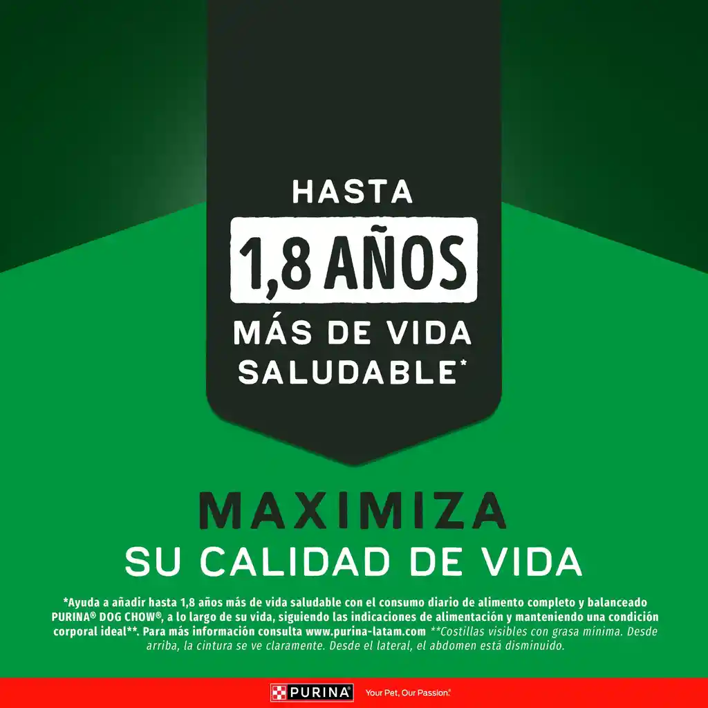 Comida para Perros Purina Dog Chow Alta Proteína x 2 kg