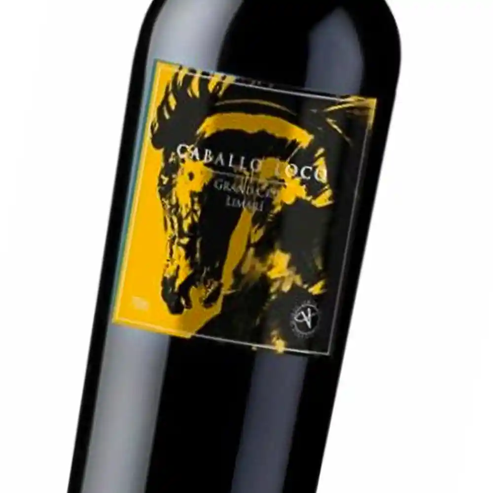 Caballo Loco Vino Grand Cru Limarí Botella