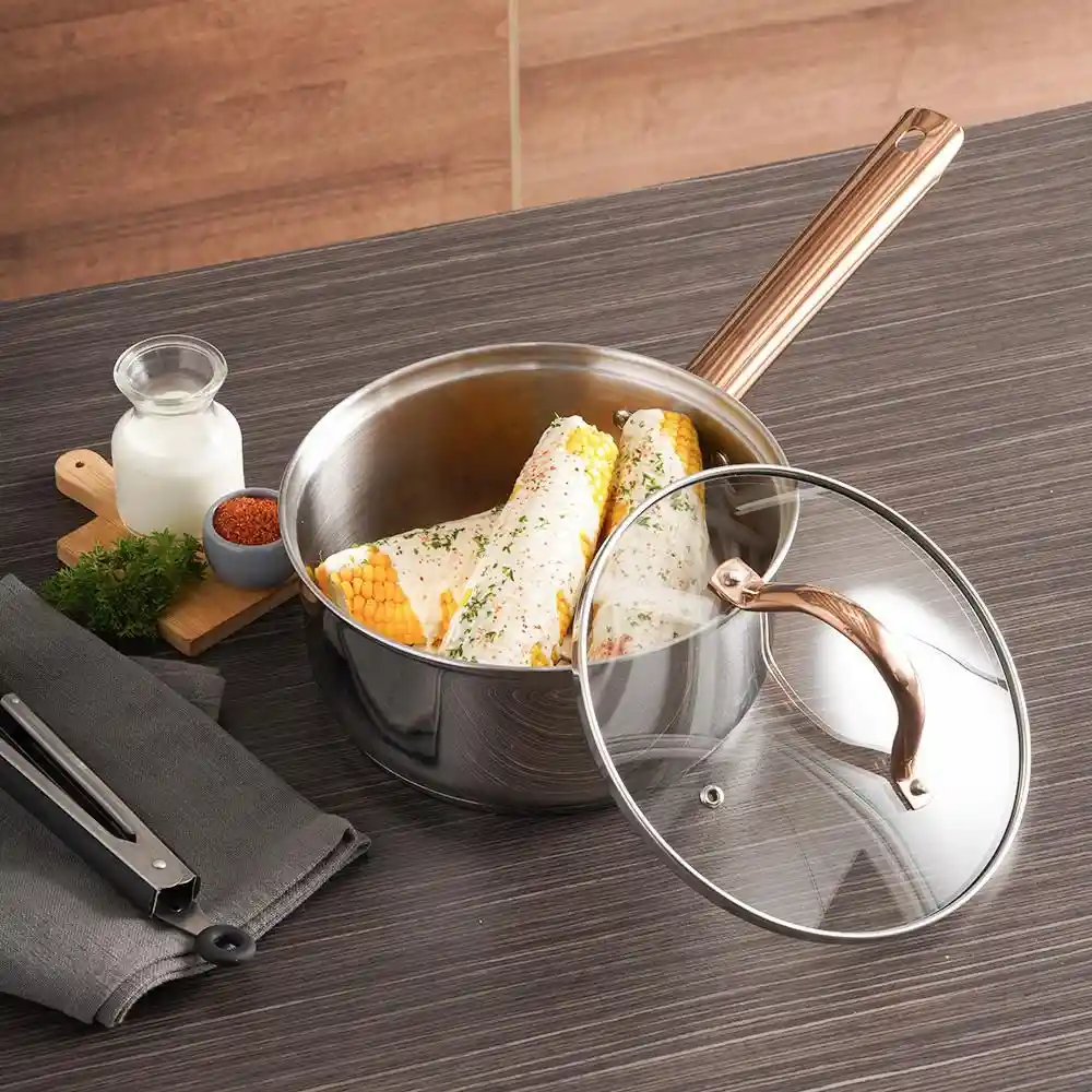 Perol en Acero Universal Acero Inoxidable Zafiro 1 Pieza Plateado