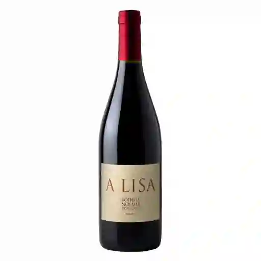 A Lisa Vino Tinto Malbec