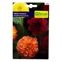 Fercon Semilla de Dalia Pompom Doble 2335575