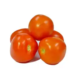 Tomate Chonto