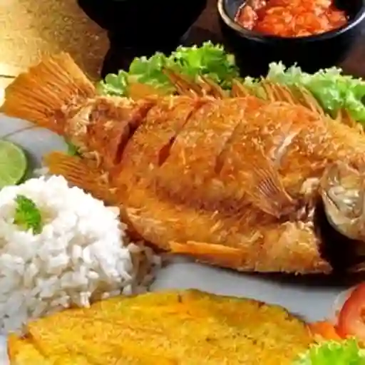 Mojarra Pequeña