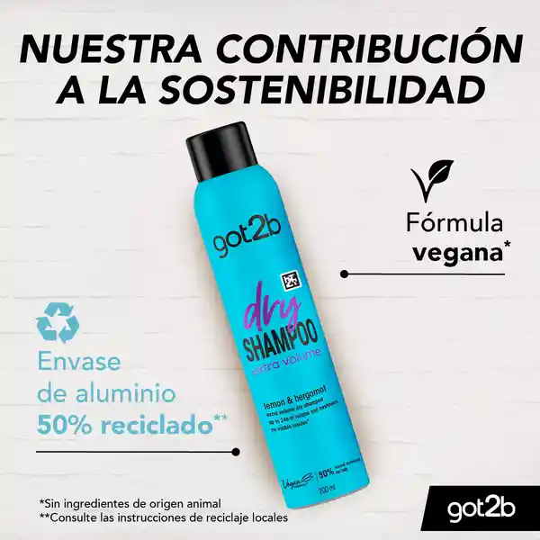 Got2B Shampoo Seco Extra Volumen Dry Voluminizing
