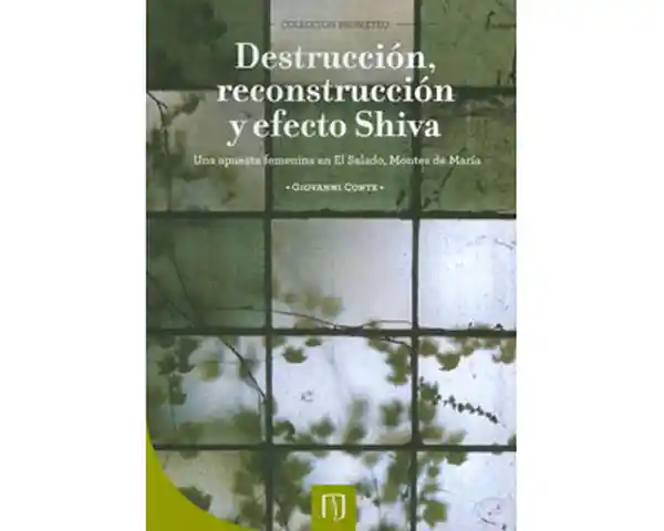 Destrucción Reconstrucción y Efecto Shiva. - Giovanni Conte