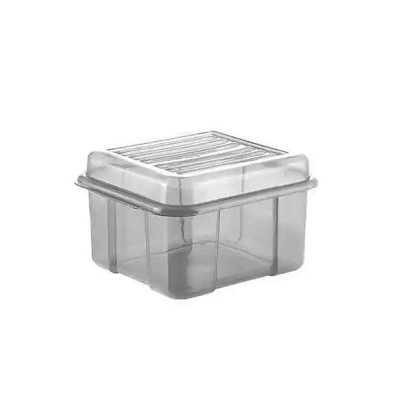 Vanyplas Caja Organizadora Color Plata Plata 25 L