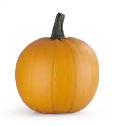 Calabaza Halloween