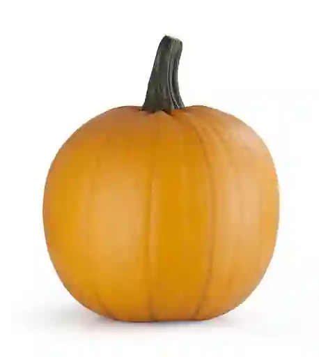 Calabaza Halloween