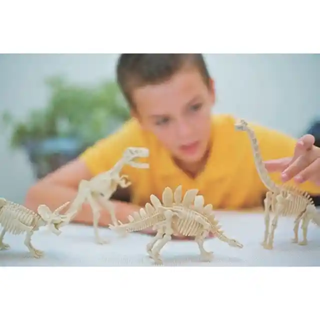 4M Juguete Kidz Labs Dig a Triceratops Skeleton Excava Dino