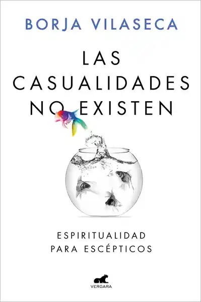 Las Casualidades no Existen - Vilaseca Borja