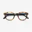 B+D Gafa Reading Blue Ban Carey +2.00