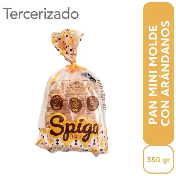 Spiga Pan Molde con Arándanos Saludable