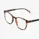 Barner Gafas Reading Dalston Carey + 2.00