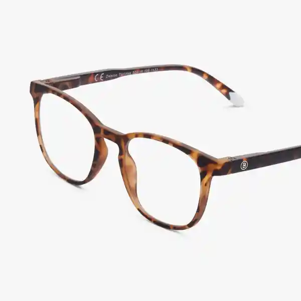Barner Gafas Reading Dalston Carey + 2.00