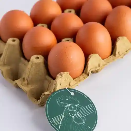 Huevos Aa - La Banquiva X 15 Uds