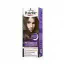 Tinte Palette Color Creme 6-0 Rubio Oscuro