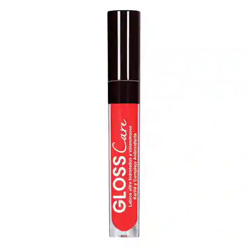 Brillo Ana Maria Labial Karit? Complejo (2.1 Gr)