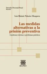 Las Medidas Alternativas a La Prisión Preventiva