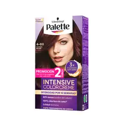 Palette Tinte Intensive Color Creme Castaño Rojizo 4-88 100 mL