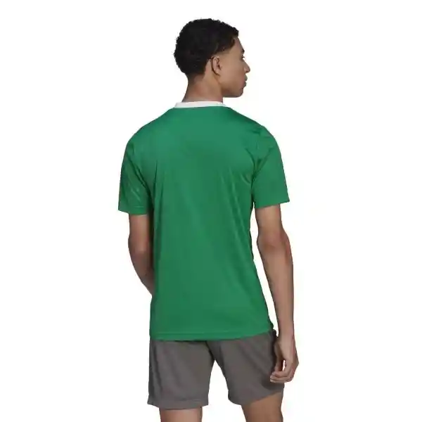 Adidas Camiseta Ent22 Jsy Verde Hombre Talla M Ref : HI2123