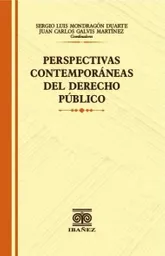 Perspectivas Contemporaneas Del Derecho Publico