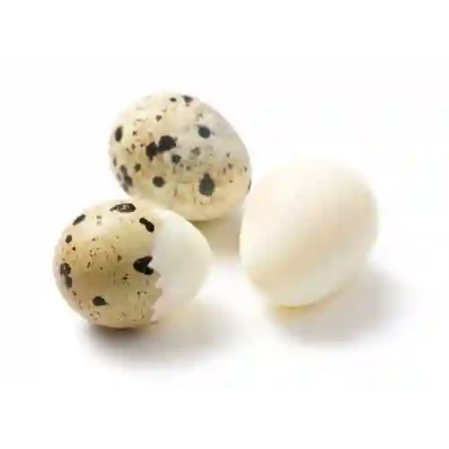 Huevos de Codorniz