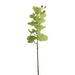Orquidea Gio Home Mposa 9 Ramas Color Verde