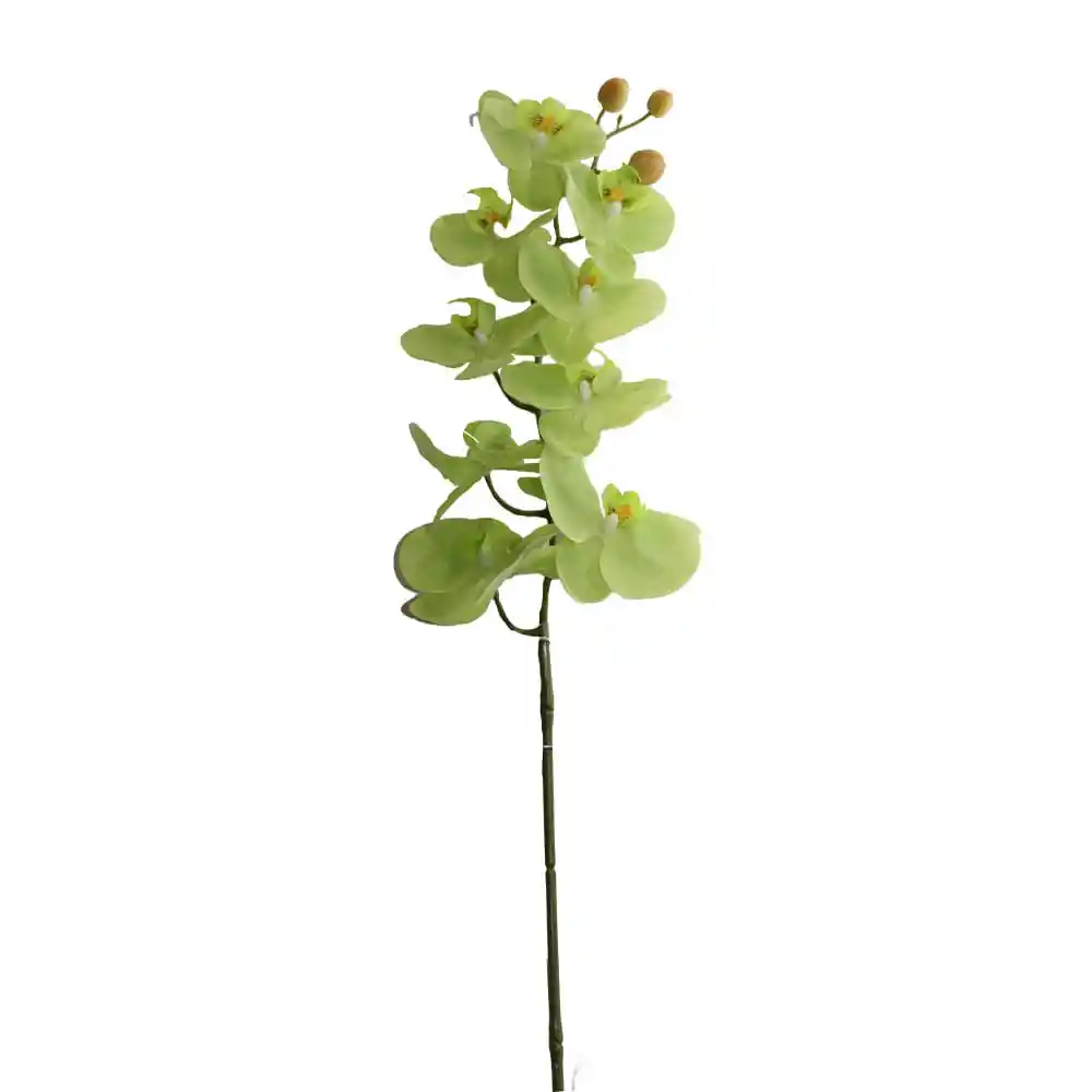 Orquidea Gio Home Mposa 9 Ramas Color Verde