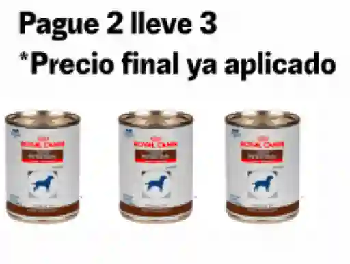 2 x 3 Royal Canin Vhn Gi he Dog Wet x 0 382Kg