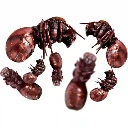 Puro manjar de reyes