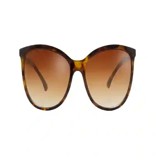 Gafas Sol Foster Grant Olivia