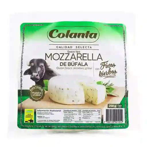 Queso Tipo Mozzarella de Búfala Hierbas Colanta Bloque 250 g