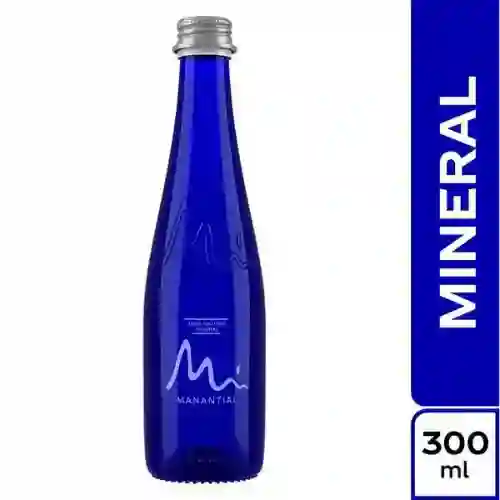 Agua Manantial 300Ml