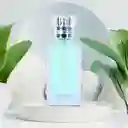 Perfume de té Verde Miniso