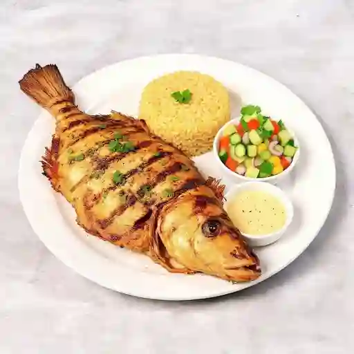 Ejecutivo con Mojarra Lora