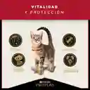 Comida para Gatos Adultos Purina Pro Plan x 1,5 kg