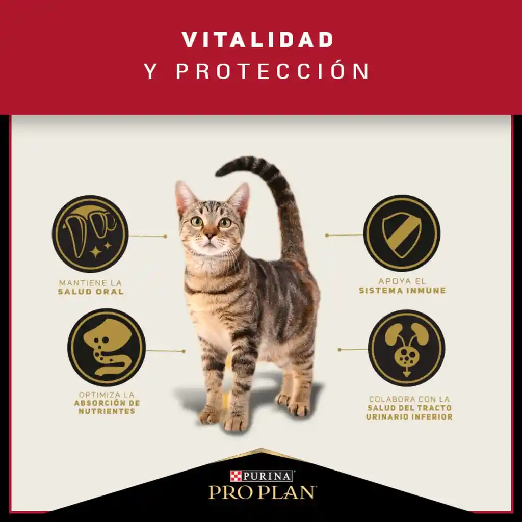 Comida para Gatos Adultos Purina Pro Plan x 1,5 kg