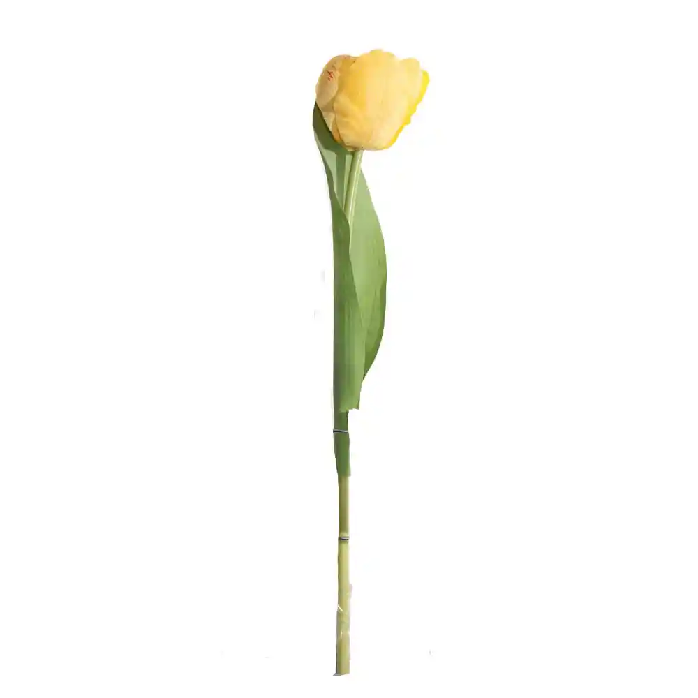 Tulipan Gio Home Mediano Amarillo