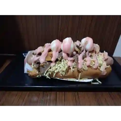 Perro Mixto