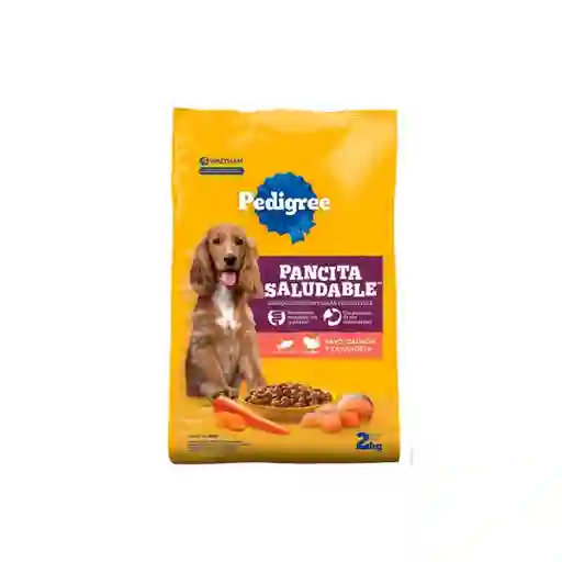 Pedigree Alimento Perro Adultos Pavo Salmón