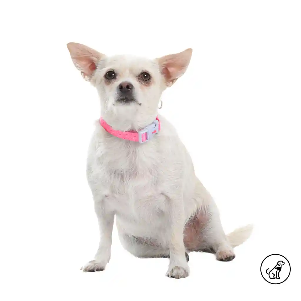 Collar Ajustable Para Perro Mylu Xs Rosada