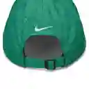 Nike Gorra u Df Club S Ab P Accesorios Hombre Verde Talla S/M