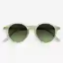 Izipizi Gafas Sun D Verde Carey +0.0