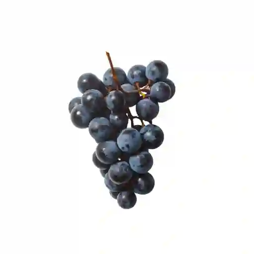 Uvas